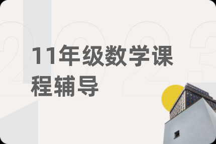 11年级数学课程辅导