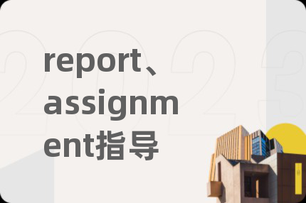 report、assignment指导