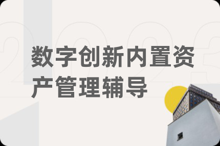 数字创新内置资产管理辅导