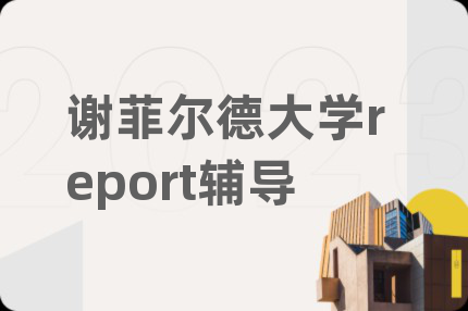 谢菲尔德大学report辅导