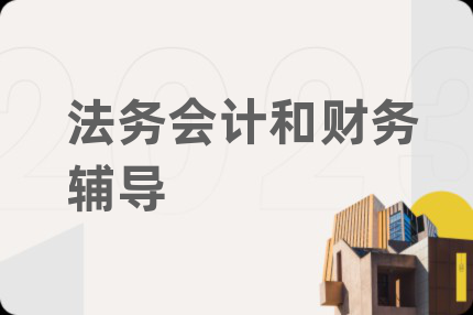 法务会计和财务辅导