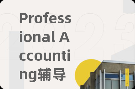 Professional Accounting辅导