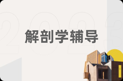 解剖学辅导