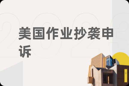 美国作业抄袭申诉