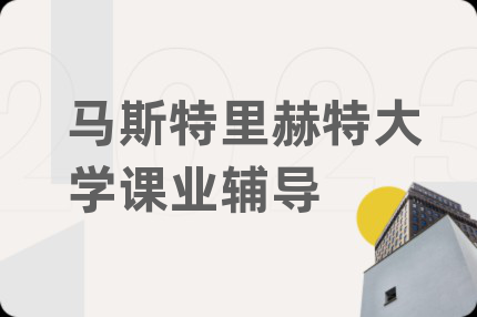 马斯特里赫特大学课业辅导