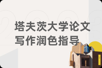 塔夫茨大学论文写作润色指导