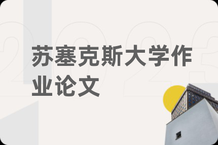 苏塞克斯大学作业论文