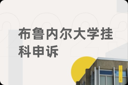 布鲁内尔大学挂科申诉