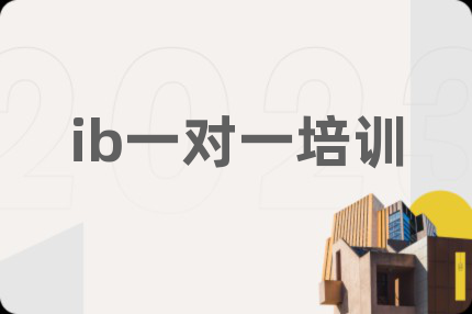 ib一对一培训