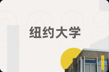 纽约大学