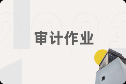 审计作业