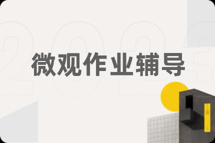 微观作业辅导