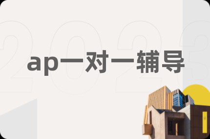 ap一对一辅导