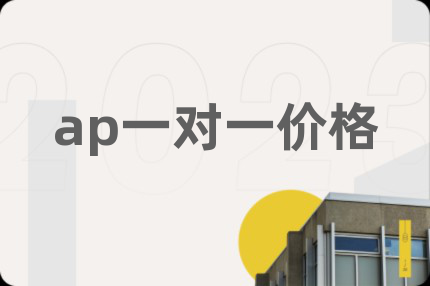 ap一对一价格