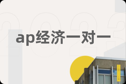 ap经济一对一