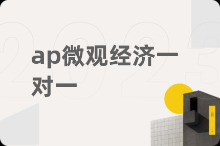 ap微观经济一对一