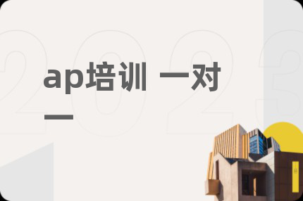 ap培训 一对一