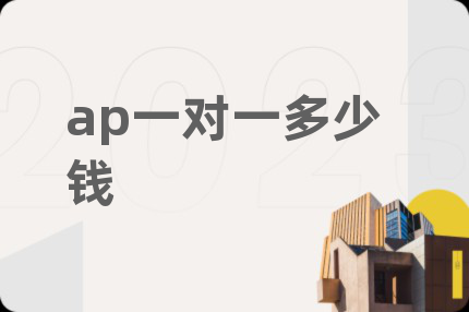 ap一对一多少钱