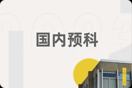 国内预科