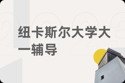 纽卡斯尔大学大一辅导