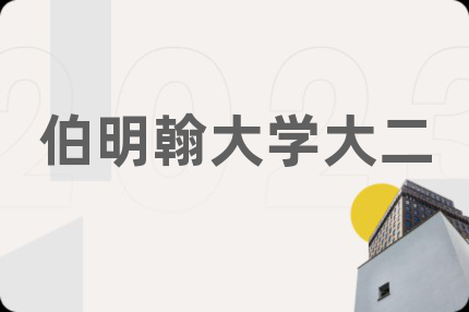 伯明翰大学大二