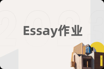 Essay作业