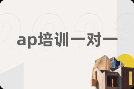 ap培训一对一