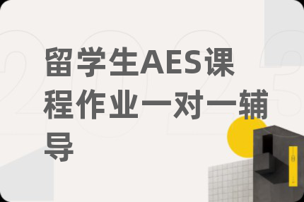 留学生AES课程作业一对一辅导