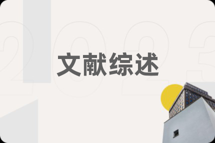 文献综述