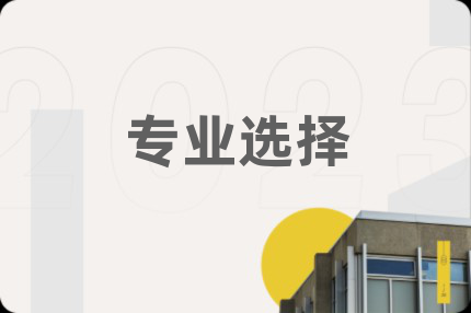 专业选择