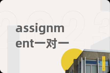 assignment一对一