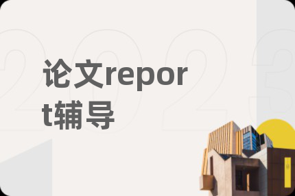 论文report辅导