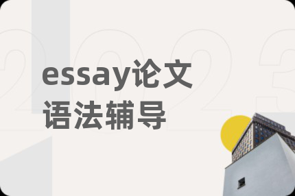 essay论文语法辅导