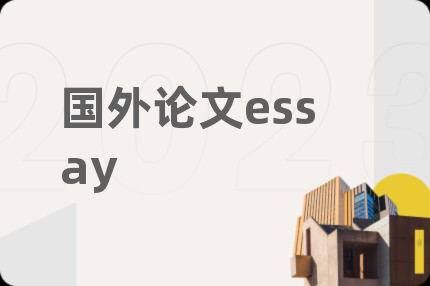 国外论文essay