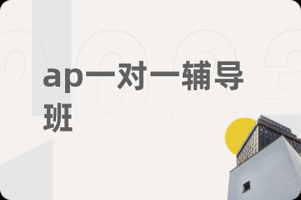 ap一对一辅导班