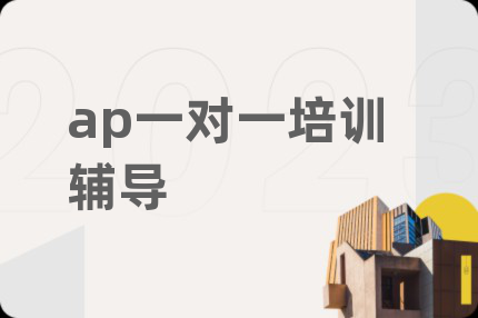 ap一对一培训辅导