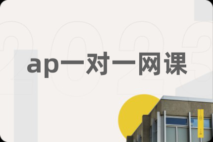 ap一对一网课