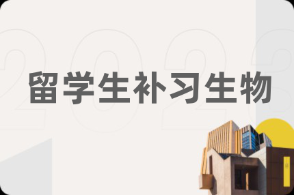 留学生补习生物