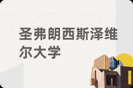 圣弗朗西斯泽维尔大学
