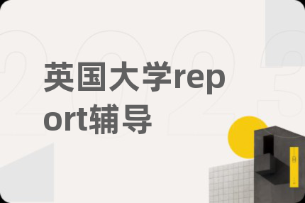 英国大学report辅导