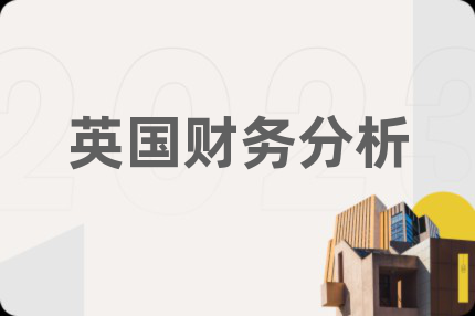 英国财务分析