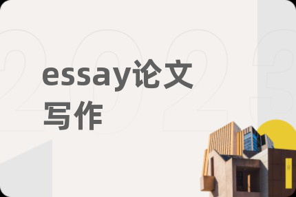 essay论文写作