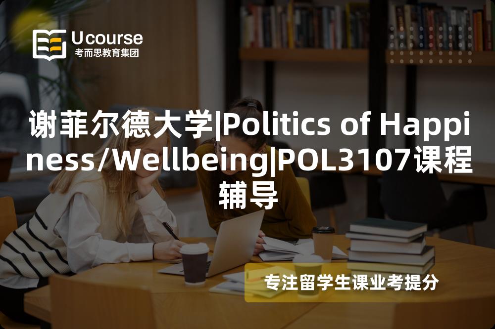 谢菲尔德大学|Politics of Happiness/Wellbeing|POL3107课程辅导