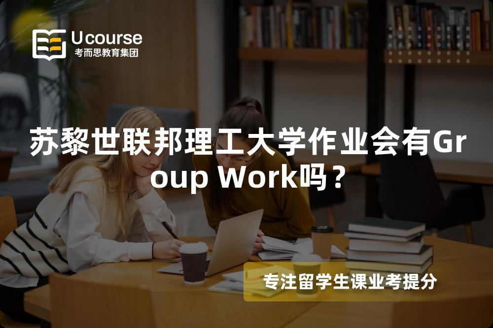 苏黎世联邦理工大学作业会有Group Work吗？