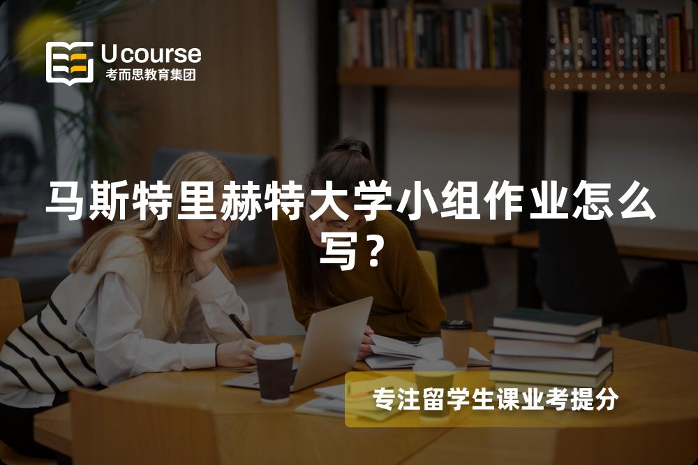 马斯特里赫特大学小组作业怎么写？