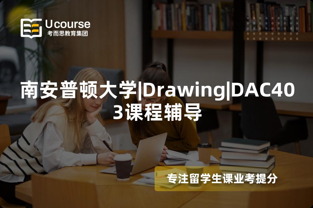 南安普顿大学|Drawing|DAC403课程辅导