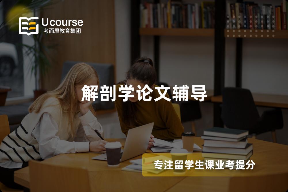 解剖学论文辅导
