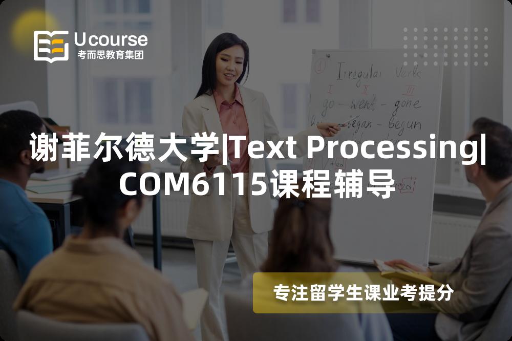 谢菲尔德大学|Text Processing|COM6115课程辅导