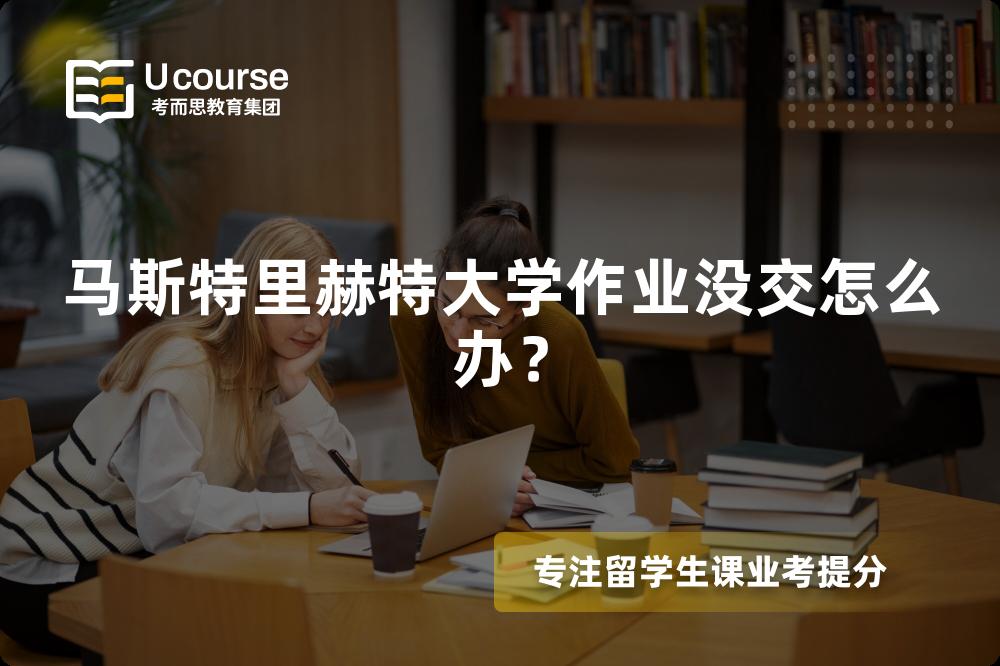马斯特里赫特大学作业没交怎么办？