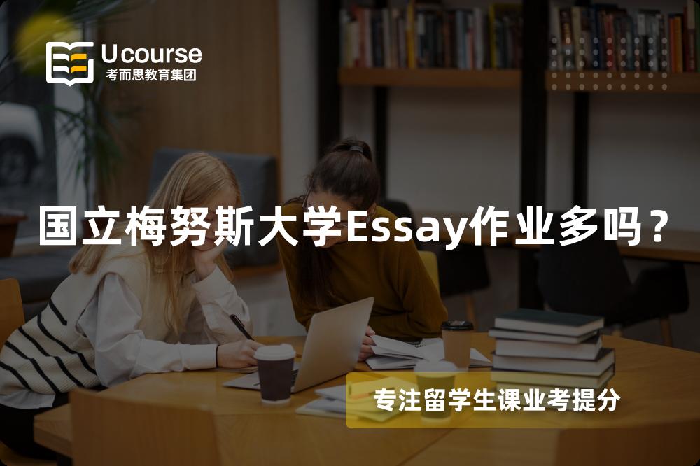 国立梅努斯大学Essay作业多吗？